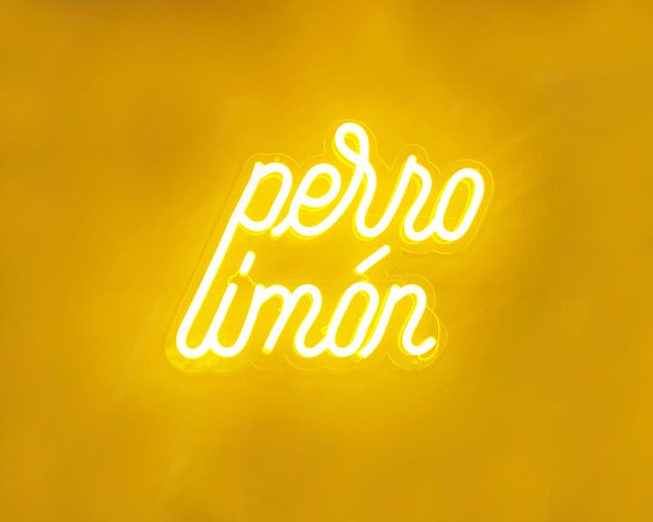 Perro Limón en Murcia